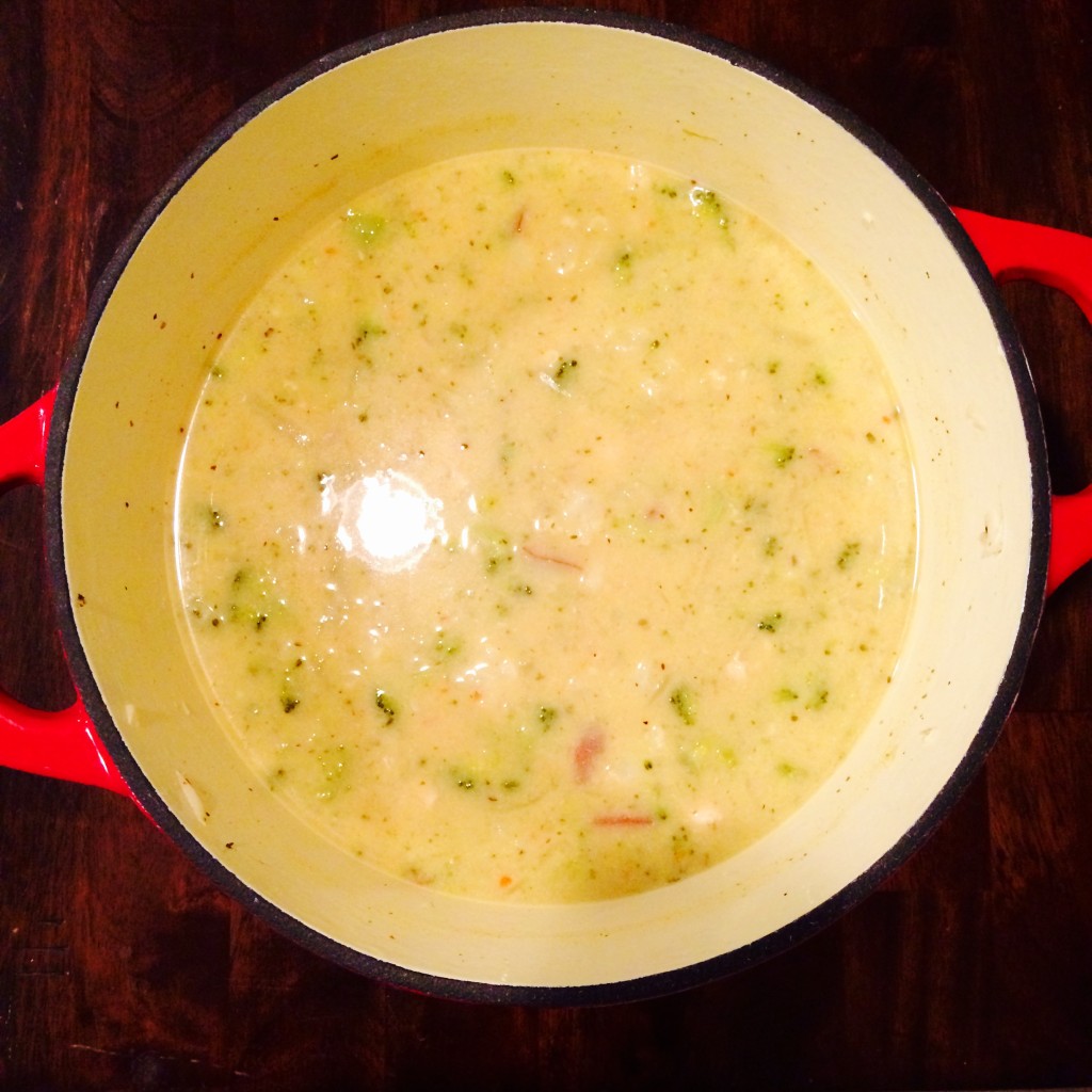 chicken and vegetable chowder2