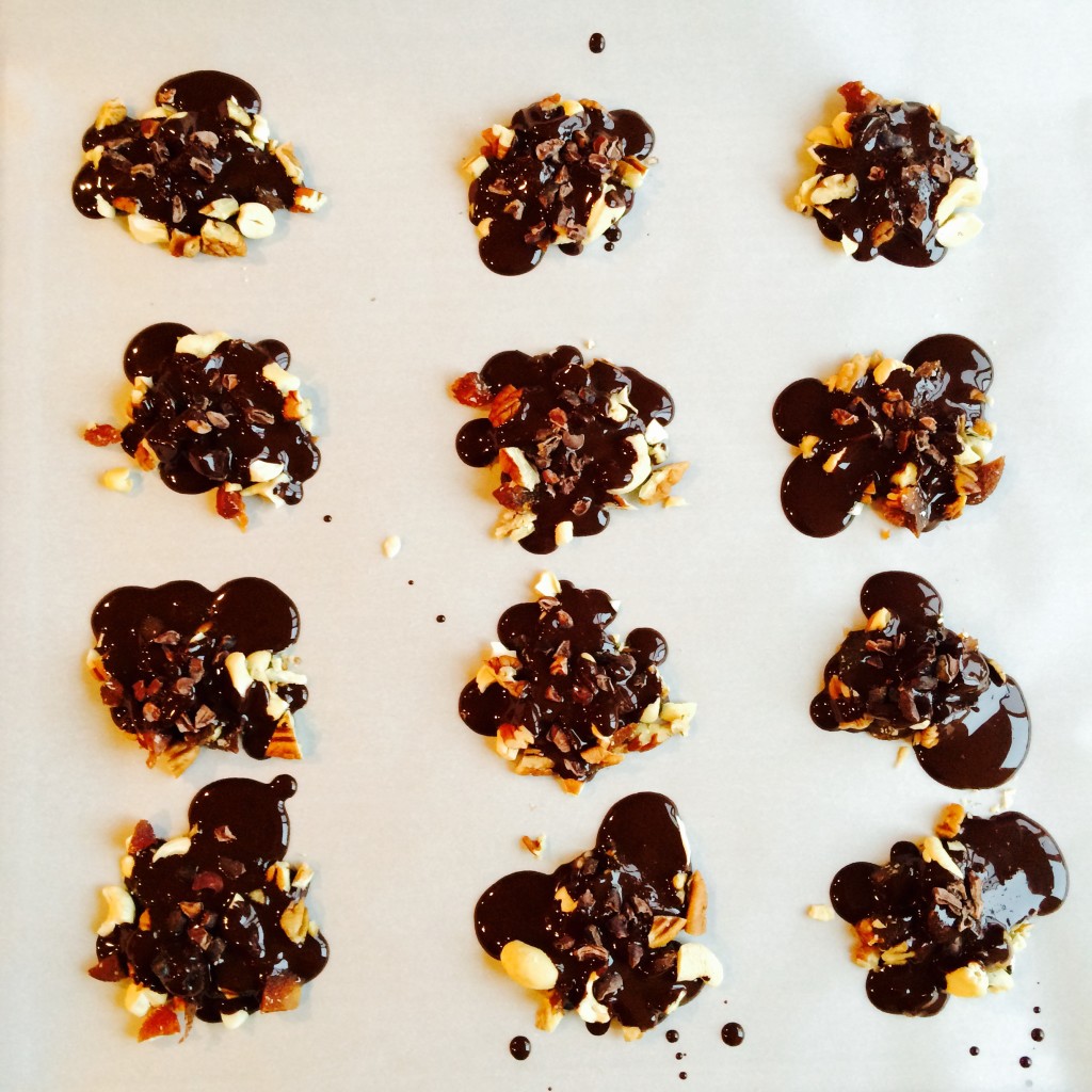 nutty dark chocolate bites